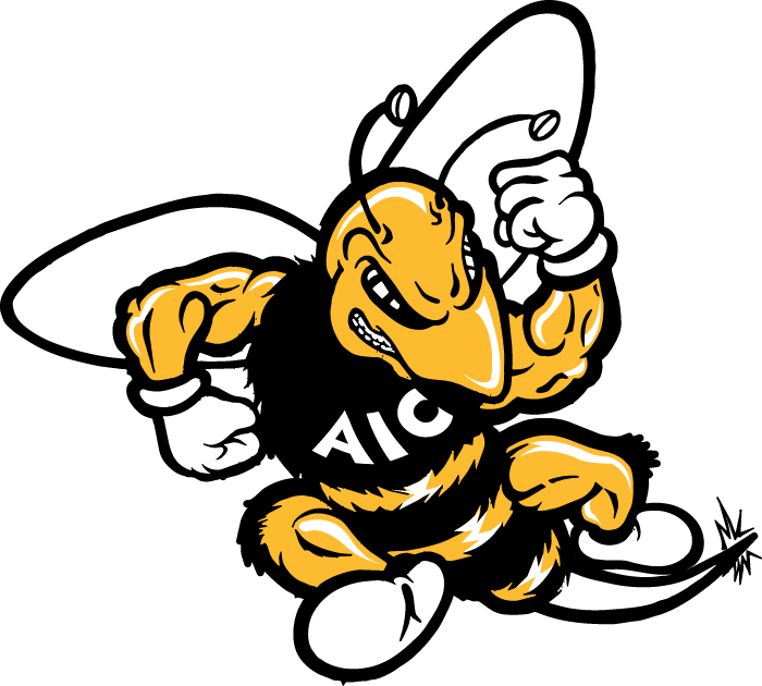 AIC Yellow Jackets 2001-2008 Primary Logo iron on transfers for fabric
